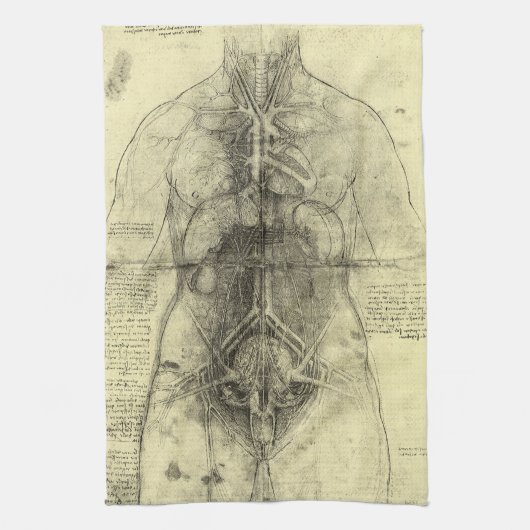 De menselijke anatomie van Leonardo da Vinci, Vrou Theedoek (Verticaal)