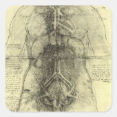 De menselijke anatomie van Leonardo da Vinci, Vrou Vierkante Sticker (Voorkant)