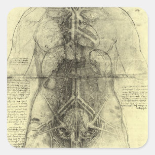 De menselijke anatomie van Leonardo da Vinci, Vrou Vierkante Sticker