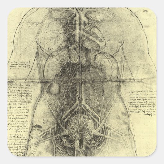 De menselijke anatomie van Leonardo da Vinci, Vrou Vierkante Sticker (Voorkant)