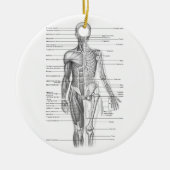 De menselijke Grafiek van de Anatomie Keramisch Ornament (Voorkant)