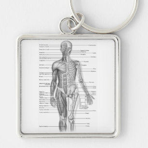 De menselijke Grafiek van de Anatomie Sleutelhanger
