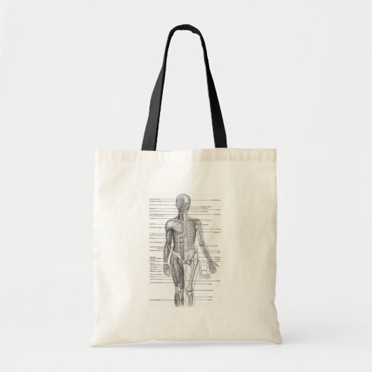 De menselijke Grafiek van de Anatomie Tote Bag (Voorkant)