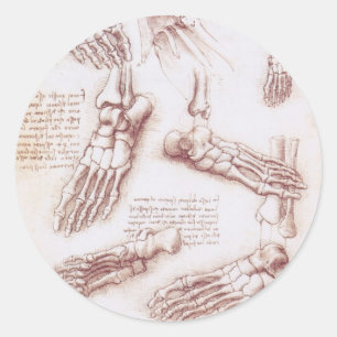 De menselijke voetbotten van Leonardo da Vinci Ronde Sticker