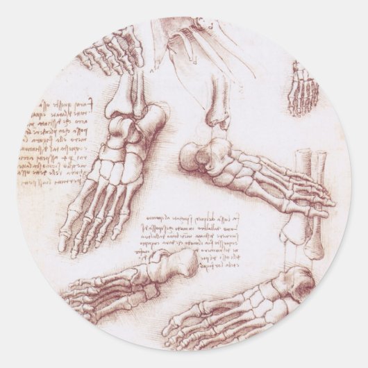 De menselijke voetbotten van Leonardo da Vinci Ronde Sticker (Voorkant)
