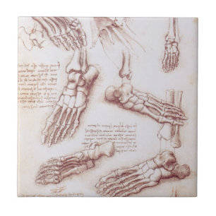De menselijke voetbotten van Leonardo da Vinci Tegeltje