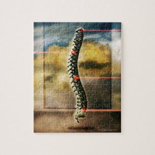 De menselijke wervelkolom legpuzzel