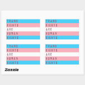 De mensenrechten zijn een transgender vlag rechthoekige sticker (Vel)