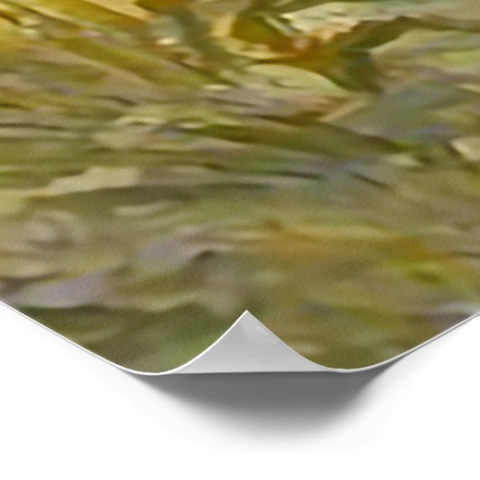 De meridiaan Vincent Gogh Poster (Hoek)