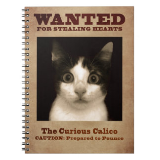 De merkwaardige Calico Kitten-laptop Notitieboek