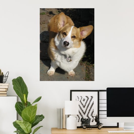 De merkwaardige Corgi Poster (Thuiskantoor)