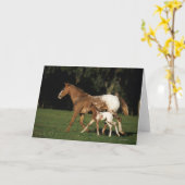 De Merrie en het Veulen van Appaloosa Kaart (Gele Bloem)