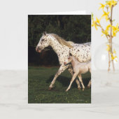 De Merrie en het Veulen van Appaloosa op Gebied Kaart (Gele Bloem)