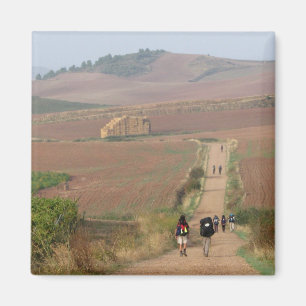De Meseta Magnet