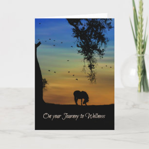 De Metafysische Kaart van Wellness, Holistic Beter