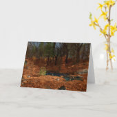 De middag van de Kaart van het Jaar (Gele Bloem)