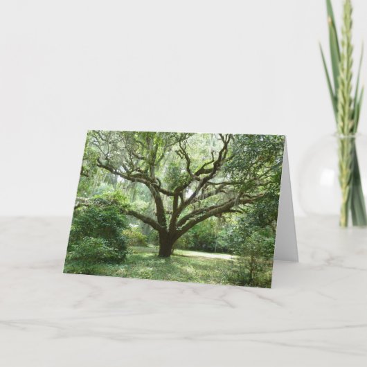 De Middag van de Zomer van Bluffton Kaart (Voorkant)