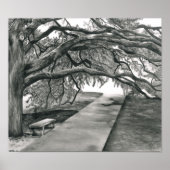 De middeleeuwse boom poster (Voorkant)