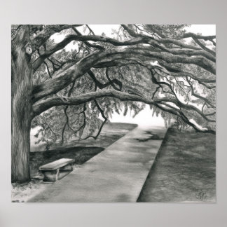 De middeleeuwse boom poster