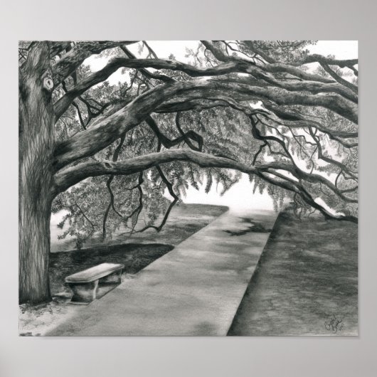 De middeleeuwse boom poster (Voorkant)