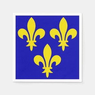 De middeleeuwse vlag van Frankrijk Servet