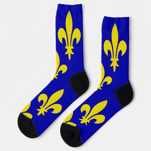 De middeleeuwse vlag van Frankrijk Sokken (Links)
