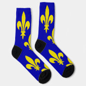 De middeleeuwse vlag van Frankrijk Sokken (Rechts)
