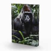 De Midnight Gorilla King: Monarch van het bos Fotoblokken (Rechts)