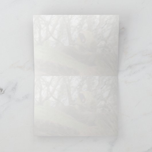 De Mighty Lion Kaart (Binnen)