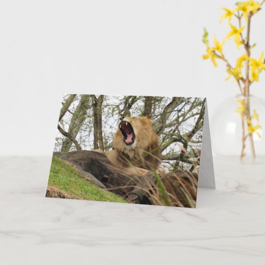 De Mighty Lion Kaart (Gele Bloem)