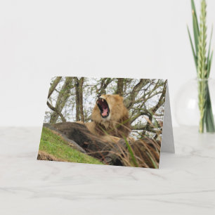 De Mighty Lion Kaart