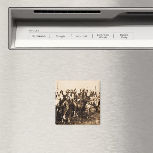 De Mighty Sioux Magneet (Insitu (Vaatwasser))