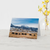 De Migratie van de bizon Kaart (Gele Bloem)