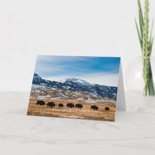 De Migratie van de bizon Kaart