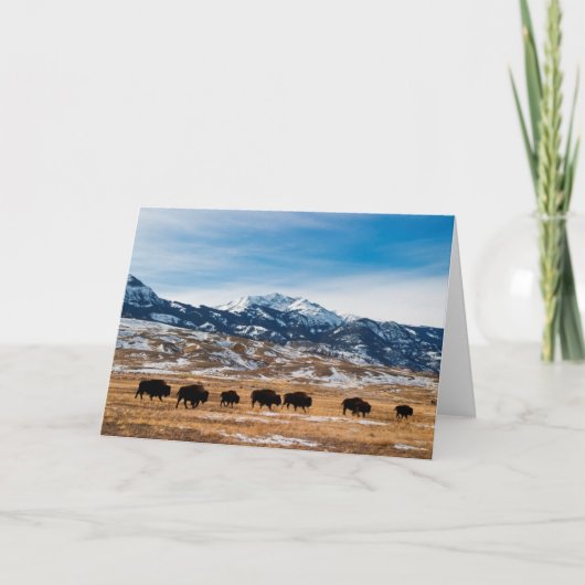 De Migratie van de bizon Kaart (Voorkant)