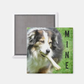 DE MIJNE! Australische herder magneet (Voorkant / Achterkant)