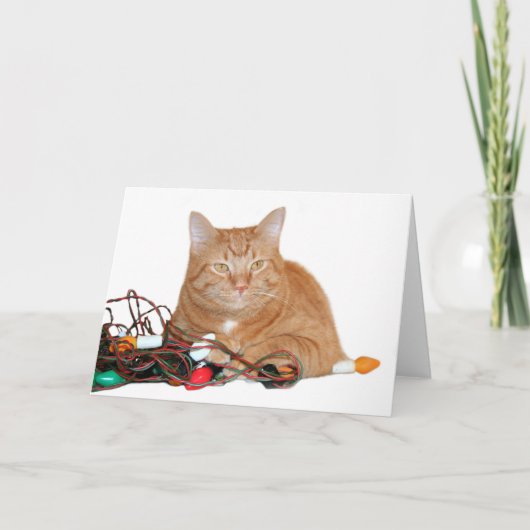 De mijne! feestdagen kaart (Voorkant)