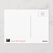 De mijnen van de Grote Lode van Coenwall Briefkaart (Achterkant)