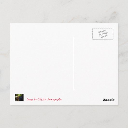 De mijnen van de Grote Lode van Coenwall Briefkaart (Achterkant)