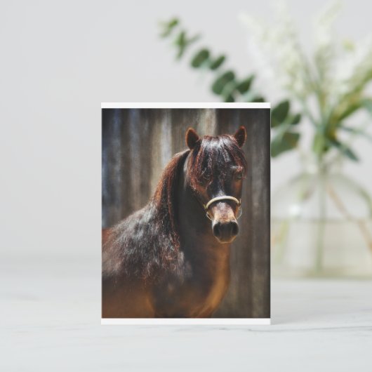 De Mini Stallion Briefkaart (Staand voorkant)