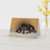 De miniatuur Min Speld van aka Pinscher Kaart (Gele Bloem)