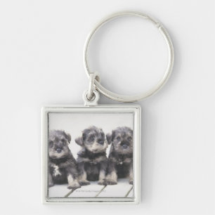 De miniatuur Schnauzer is een soort kleine hond Sleutelhanger