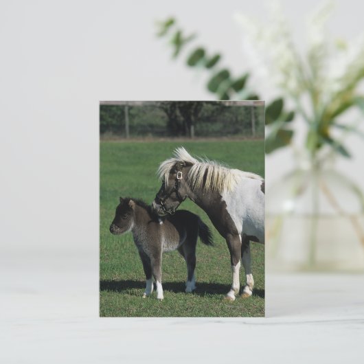 De miniatuur Status van de Merrie & van het Veulen Briefkaart (Staand voorkant)