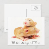De Minnaar van de rat altijd en voor altijd Briefkaart (Voorkant / Achterkant)