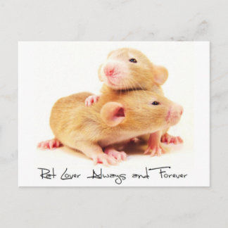 De Minnaar van de rat altijd en voor altijd Briefkaart