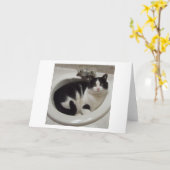 De minnaars van de kat verrukken kaart (Gele Bloem)