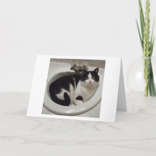 De minnaars van de kat verrukken kaart (Voorkant)