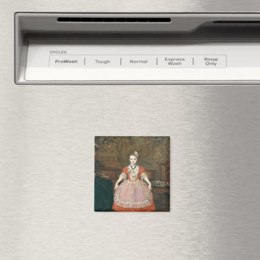 De Minuet Magneet (Insitu (Vaatwasser))