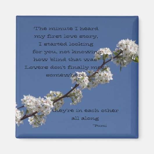 De minuut die ik hoorde mijn eerste liefdesverhaal magneet (Voorkant)