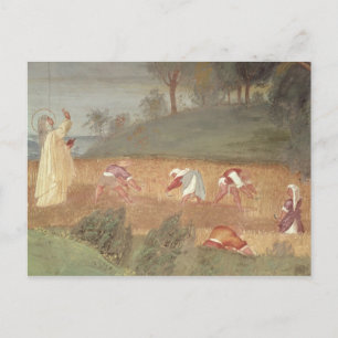 De Mirakels van de Sint-Karel van Assisi Briefkaart